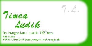 timea ludik business card